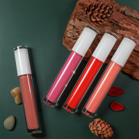 Drivworld 2021 unisex no logo moisturizing lip gloss lip golss liquid lipstick European and American lip glaze small batch private customization / OEM