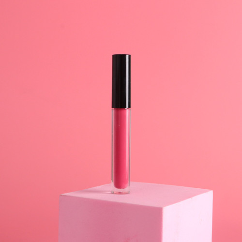Drivworld 2021 black cover transparent tube matte velvet matte lip gloss light and smooth non-stick lip glaze lipstick liquid