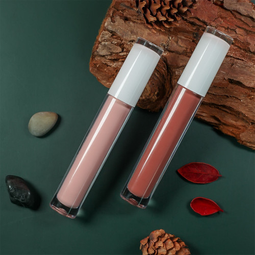 Drivworld 2021 unisex no logo moisturizing lip gloss lip golss liquid lipstick European and American lip glaze small batch private customization / OEM
