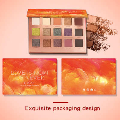 Drivworld 2021 15-color eyeshadow palette for beginners beauty INS net celebrity with world-weary makeup earth color eyeshadow wholesale / OEM