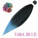 T1B-LBlue