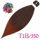 T1B/350