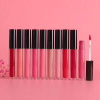 Drivworld 2021 black cover transparent tube matte velvet matte lip gloss light and smooth non-stick lip glaze lipstick liquid