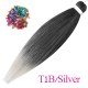 T1B/Silver Gray