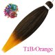 T1B-Orange