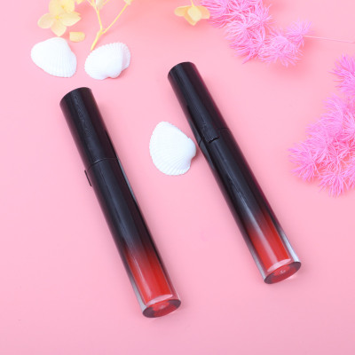 Drivworld 2021 Multicolor Beauty Matte Lip Glaze Easy Color Oval Black Tube Lacquer Gradient Color Moisturizing Lip Gloss