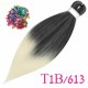 T1B/613