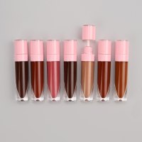 Custom DIY High Pigment Matte Shiny Nude Liquid Lipstick Private Label Makeup High Pigment Lipgloss Waterproof Long Lasting