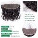 13x4Lace Frontal