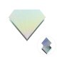 Holographic