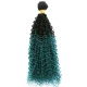 T1B-Green