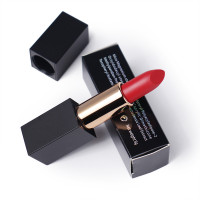 Drivworld Neutral make-up 25-color matte lipstick Moisturizing and long-lasting lipstick Magnetic straw lipstick no logo