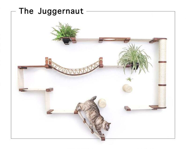 cat wall system