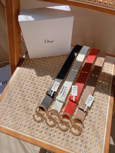 Dior Belt