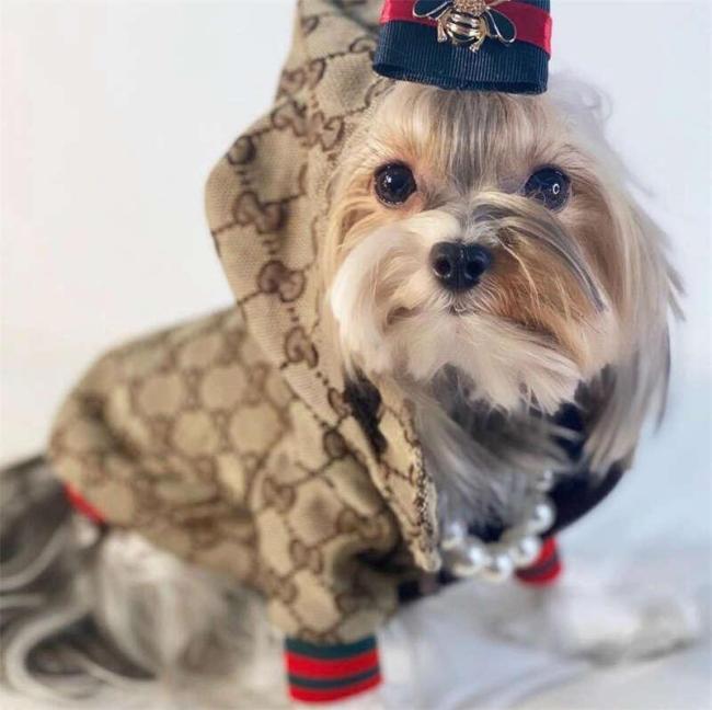 Dog Pet Clothes #GUI