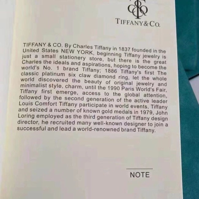 Fashion Notebook #TIF #DIO