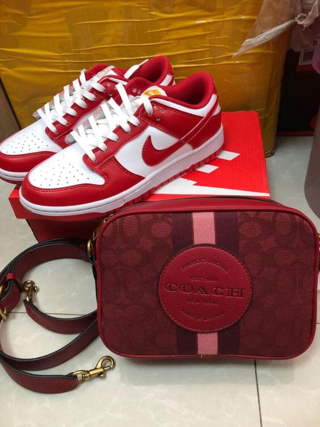 Fashion Shoes and Bag Set #NIK