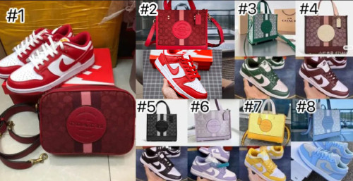 Fashion Shoes and Bag Set #NIK