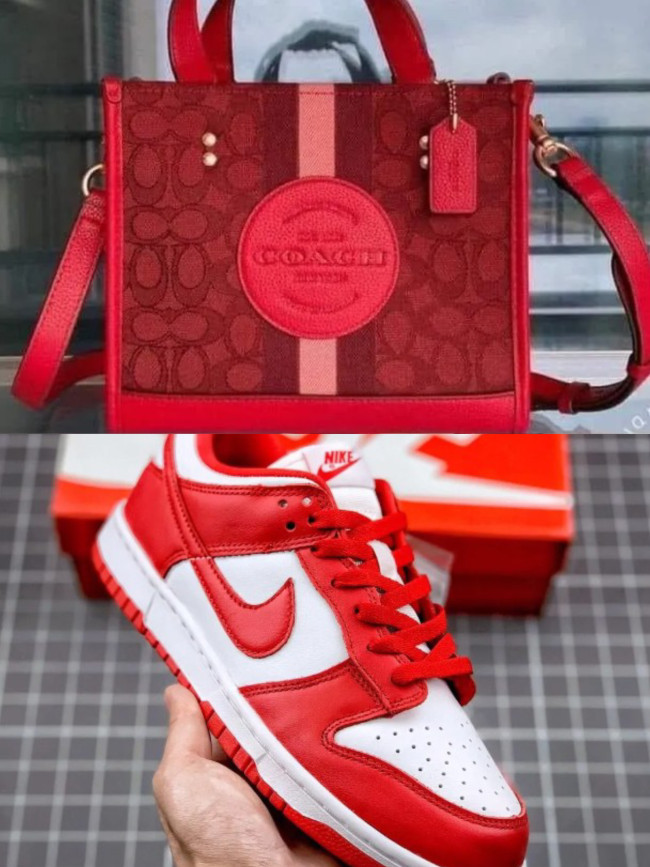 Fashion Shoes and Bag Set #NIK