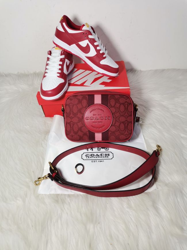 Fashion Shoes and Bag Set #NIK