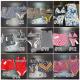 Wholesale Fashion Sexy Swimsuit #GUI #LOV