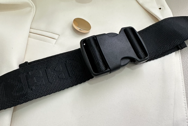 Fashion Chest Bag No Box #BUR #DIO