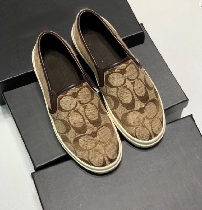 Fashion Loafers with Box #COA