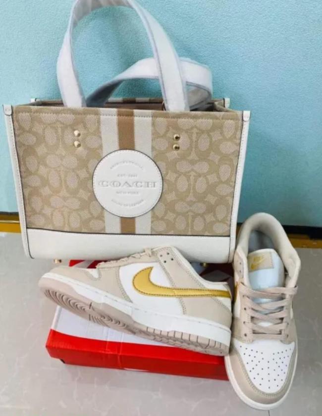 Fashion Bag with Shoes Set Free Shipping #NIK #COA