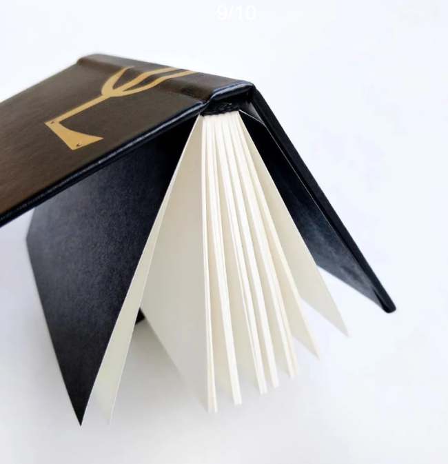 Fashion Notebook #TIF #DIO