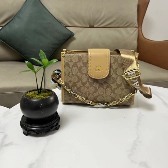 Wholesale pre-sale Fashion Bag #COA