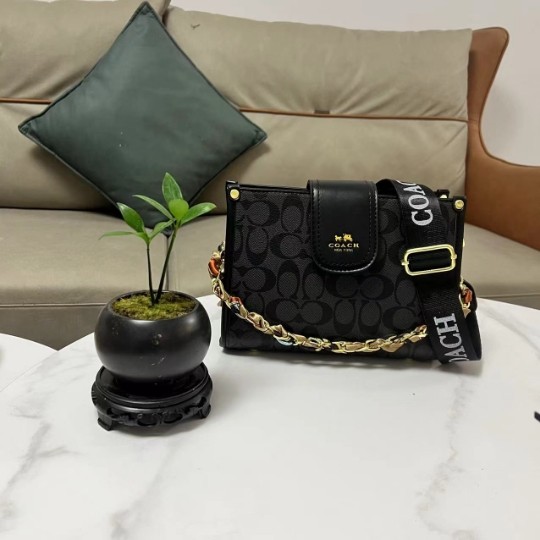 Wholesale pre-sale Fashion Bag #COA