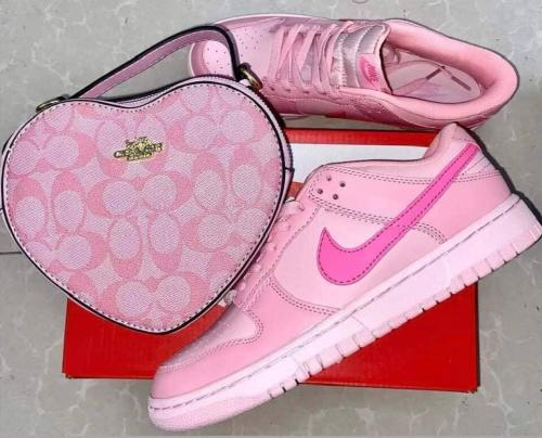Fashion Shoes with Bag Set #COA #NIK