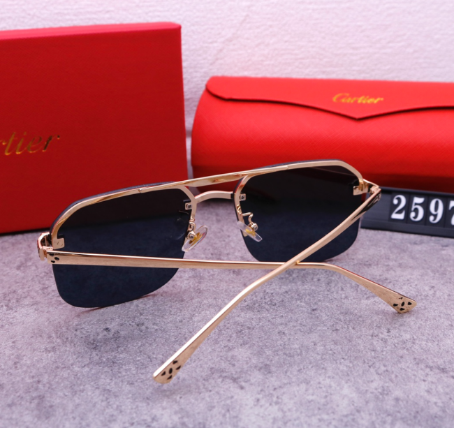 Fashion Cartier Shades with Box