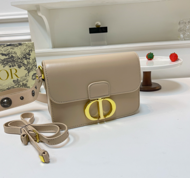 Quality Bag with Box #DIO