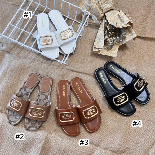 Women Fashion Slides with Box #COA