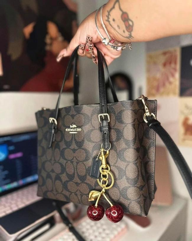 Quality Bag with Cherry Chains #COA