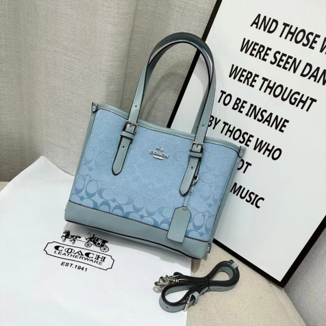 Quality Bag with Cherry Chains #COA