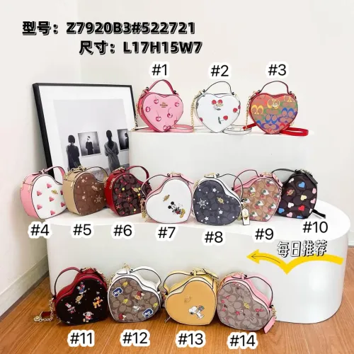 Fashion Bag No Box #COA
