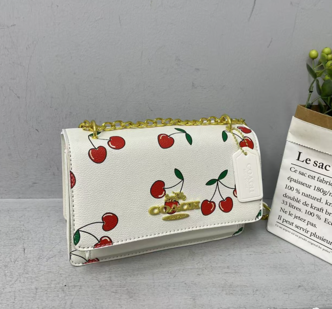 Fashion Bag No Box #COA