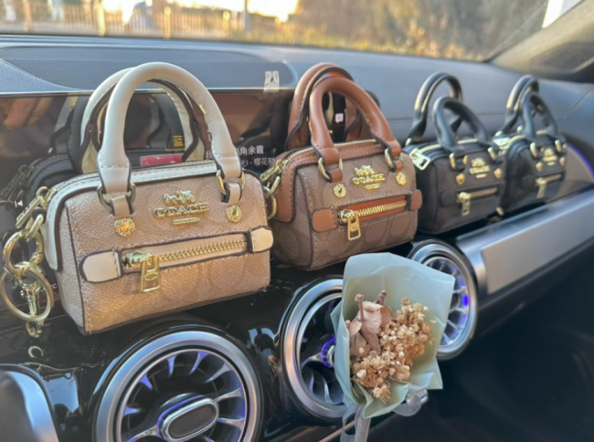 Fashion Cute Mini Purse #COA