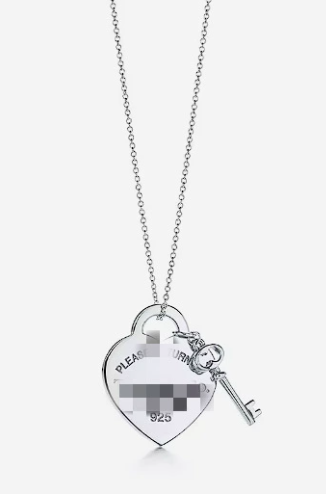  Fashion Necklace with Box #TIF