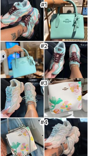 Fashion Shoes and Bag Set #COA