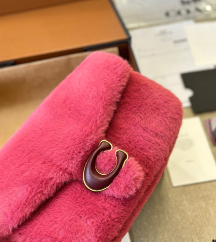 Tabby Furry Bag with Box #COA