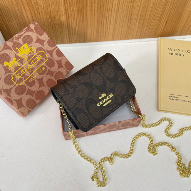 Fashion Chain Bag with Box #COA #CHN #MC