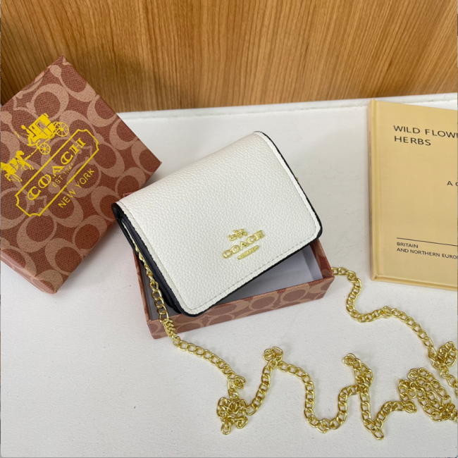 Fashion Chain Bag with Box #COA #CHN #MC