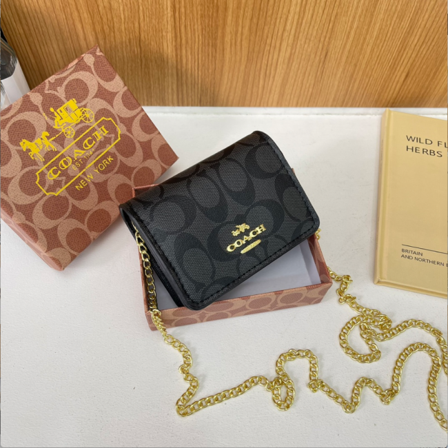 Fashion Chain Bag with Box #COA #CHN #MC