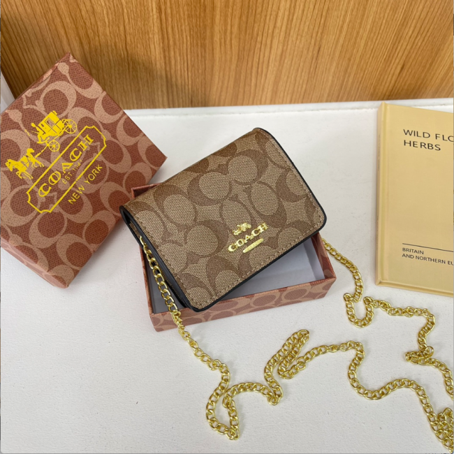 Fashion Chain Bag with Box #COA #CHN #MC