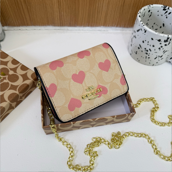 Fashion Chain Bag with Box #COA #CHN #MC