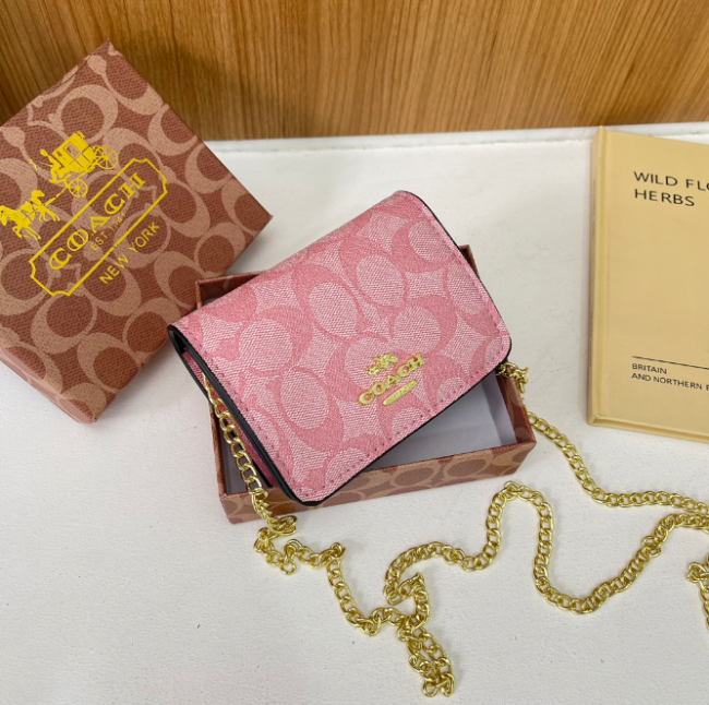 Fashion Chain Bag with Box #COA #CHN #MC