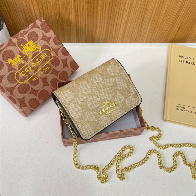 Fashion Chain Bag with Box #COA #CHN #MC